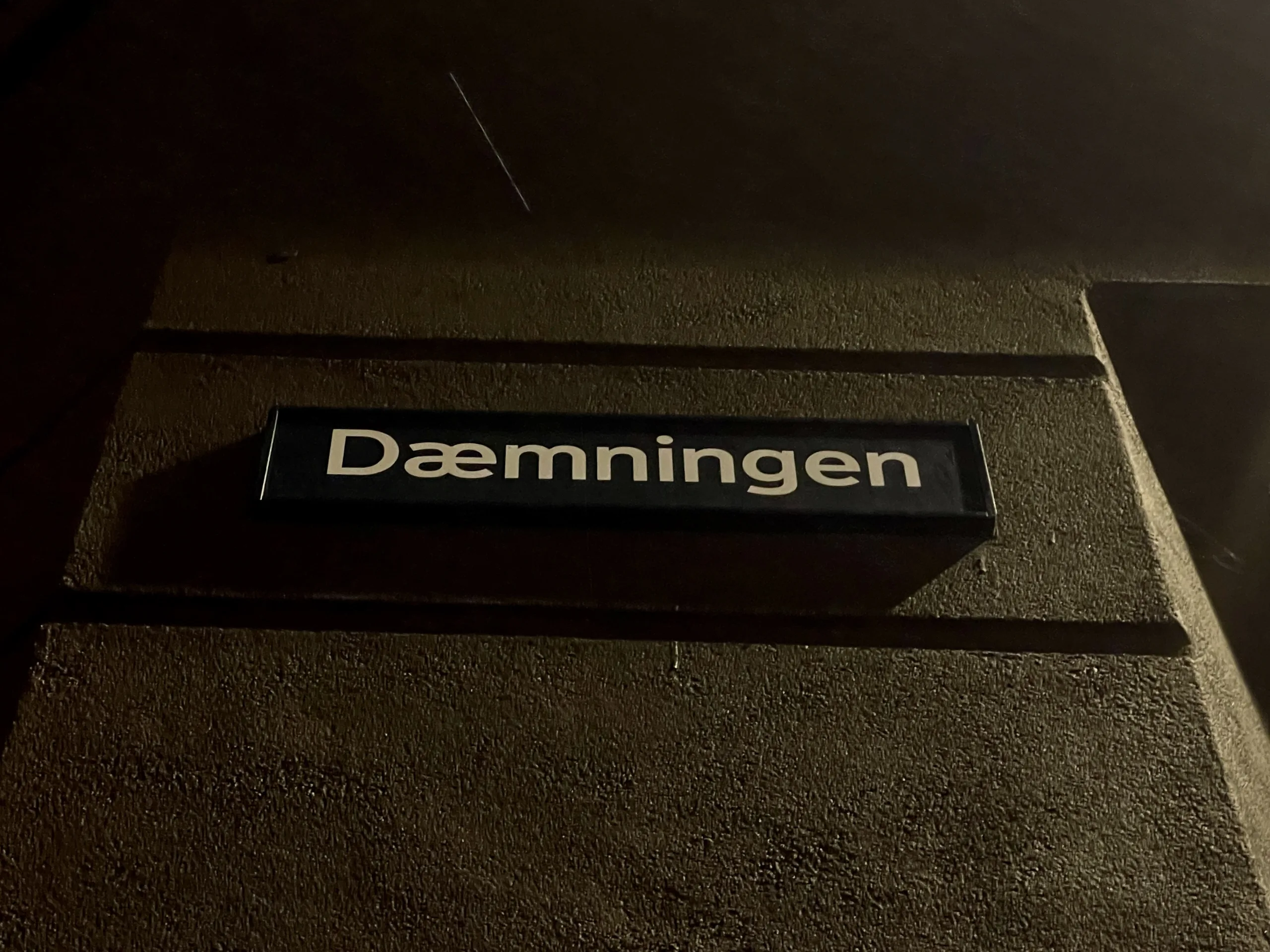Dørmand slået i hovedet af kvindelig gæst på værtshus i Vejle